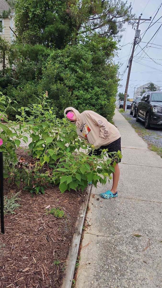 Bethany Beach Scavenger Hunt scavenger hunt photos