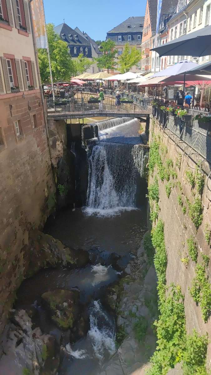 Fotografii de la vânătoarea de comori Saarburg
