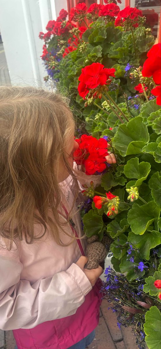 Kinsale Scavenger Hunt scavenger hunt photos