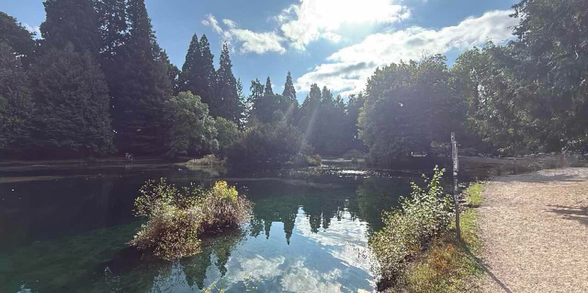 Southeast Portland Scavenger Hunt scavenger hunt photos