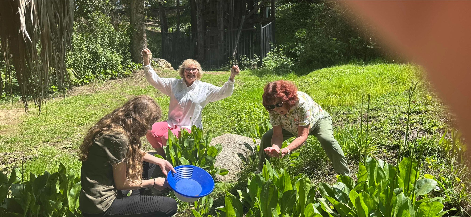 Auburn Californien Scavenger Hunt skattejagtbilleder