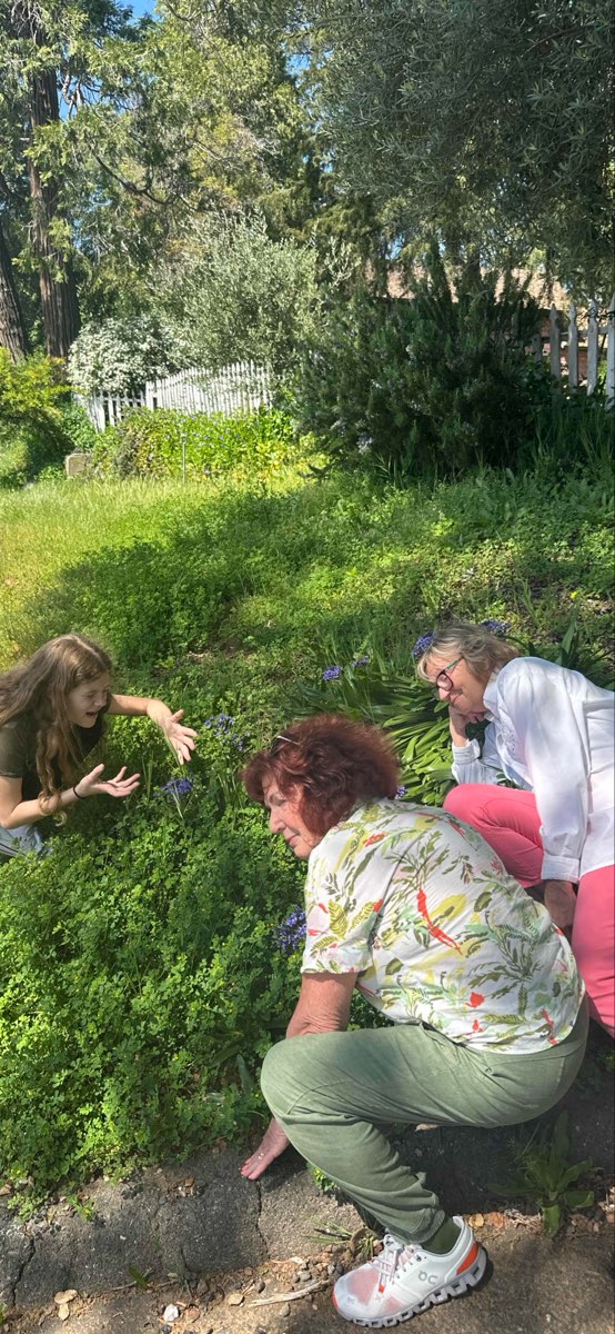 Auburn Californië Scavenger Hunt scavenger hunt foto's