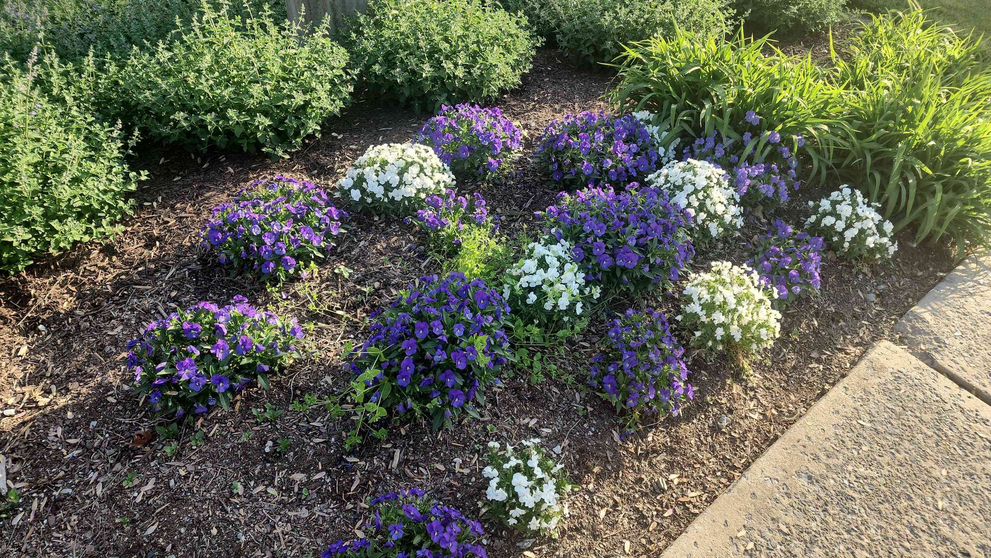 Monocacy Scavenger Hunt scavenger hunt photos