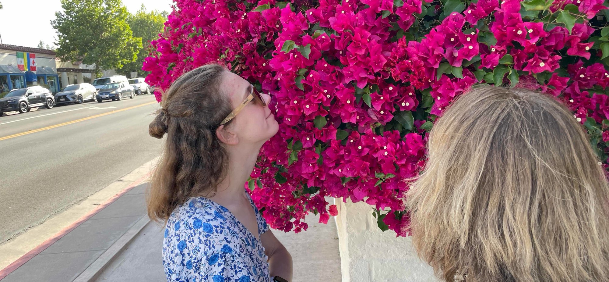 오하이 스캐빈저 헌트 스캐빈저 헌트 사진