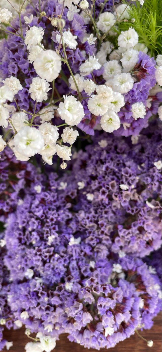 오하이 스캐빈저 헌트 스캐빈저 헌트 사진