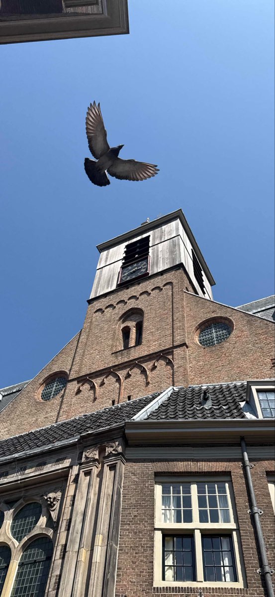 תמונות מסלול החיפוש של ליידן