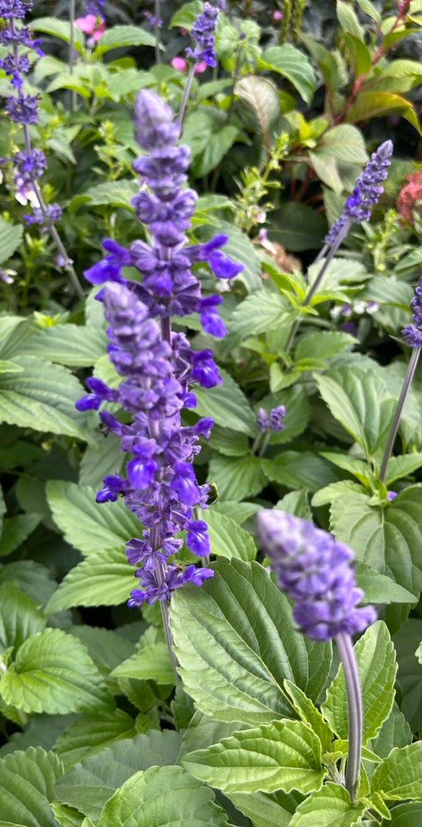 帕克岭寻宝游戏照片