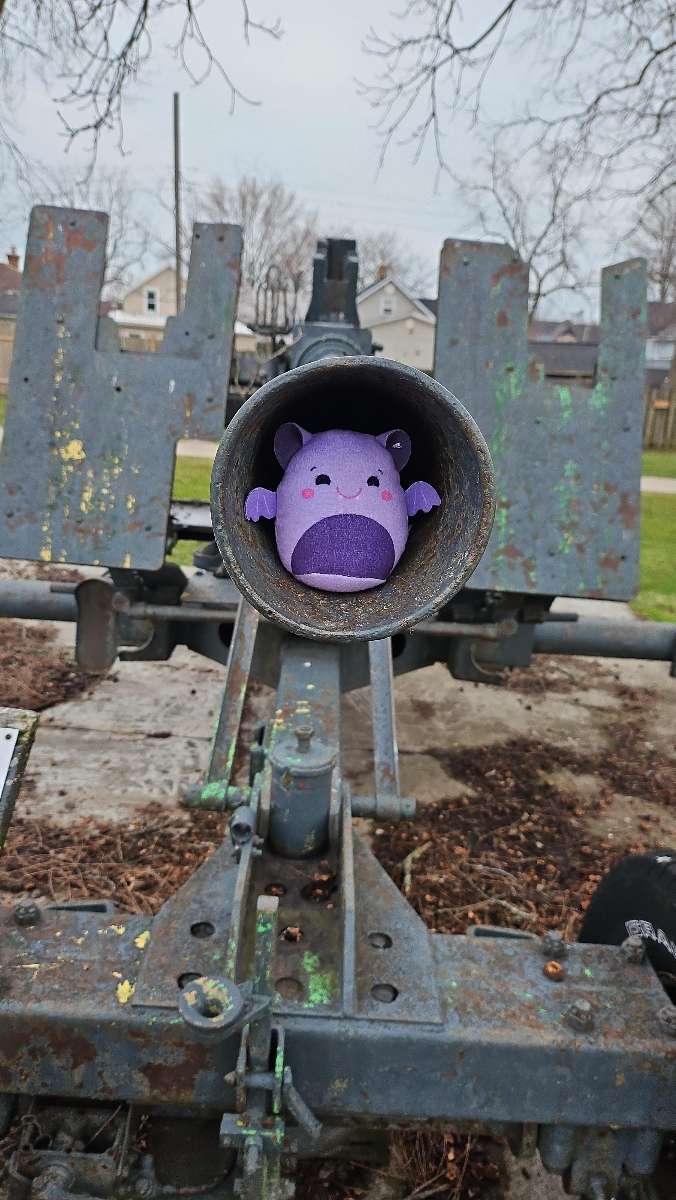 Kingsville Ontario Scavenger Hunt scavenger hunt photos
