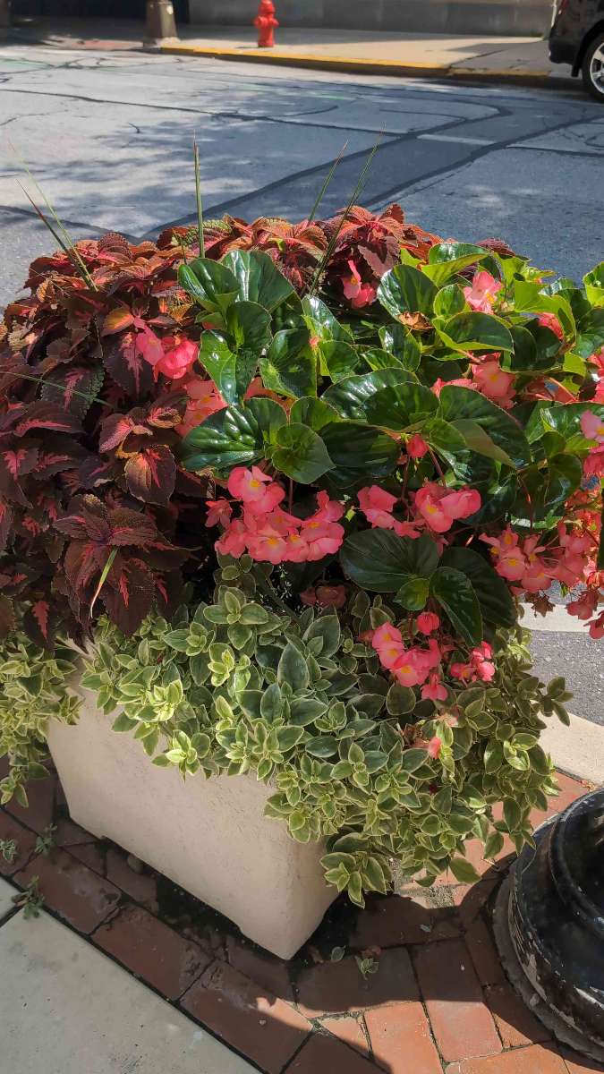 Lancaster Pennsylvania Ghost Tour scavenger hunt photos