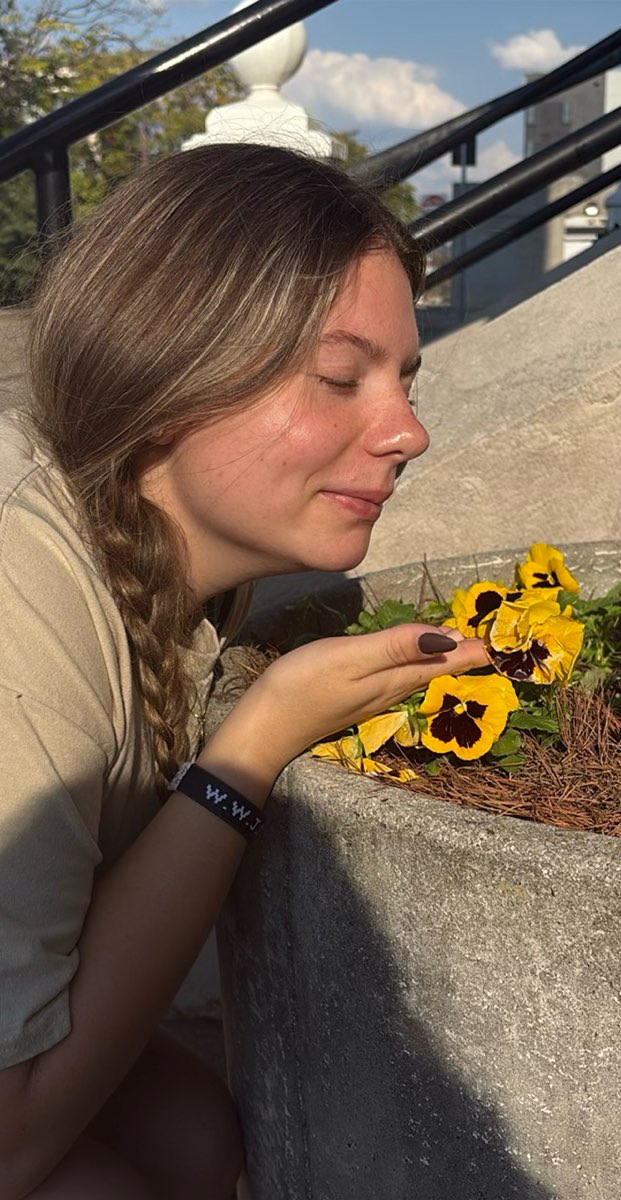 Fotos de la búsqueda del tesoro de la Universidad de Tennessee--Knoxville