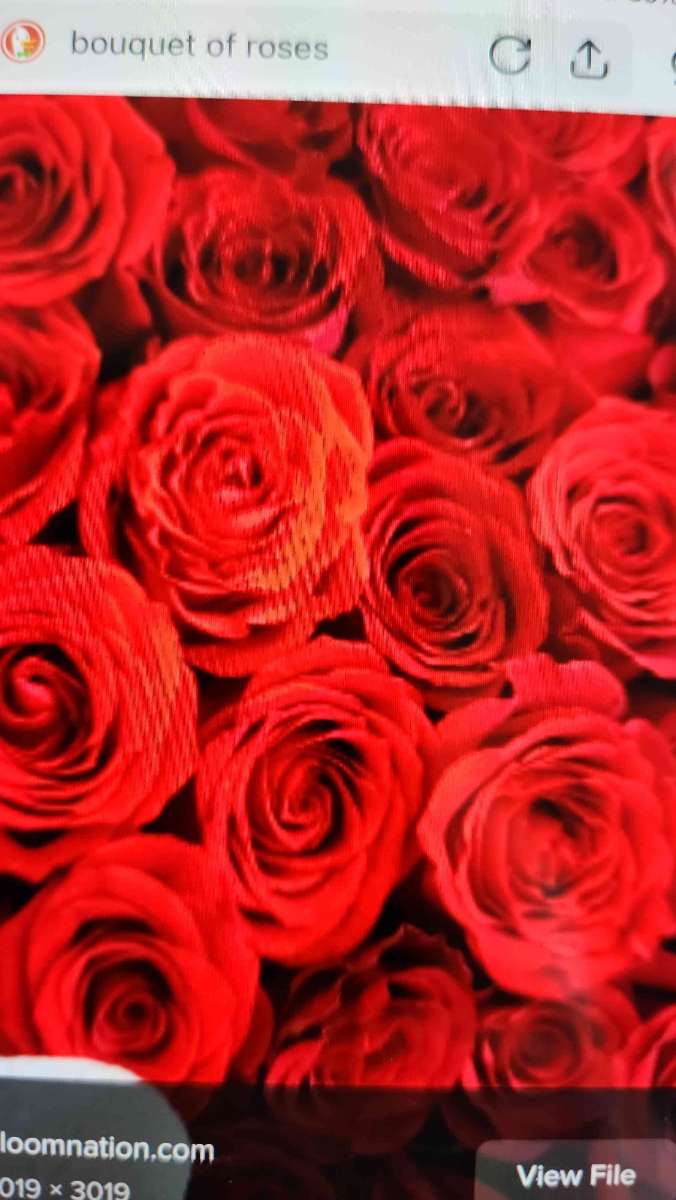 In-Home Downtown Scavenger Hunt scavenger hunt photos