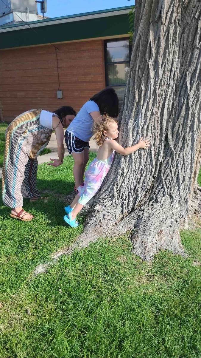 Hutchinson Scavenger Hunt foton från skattjakt