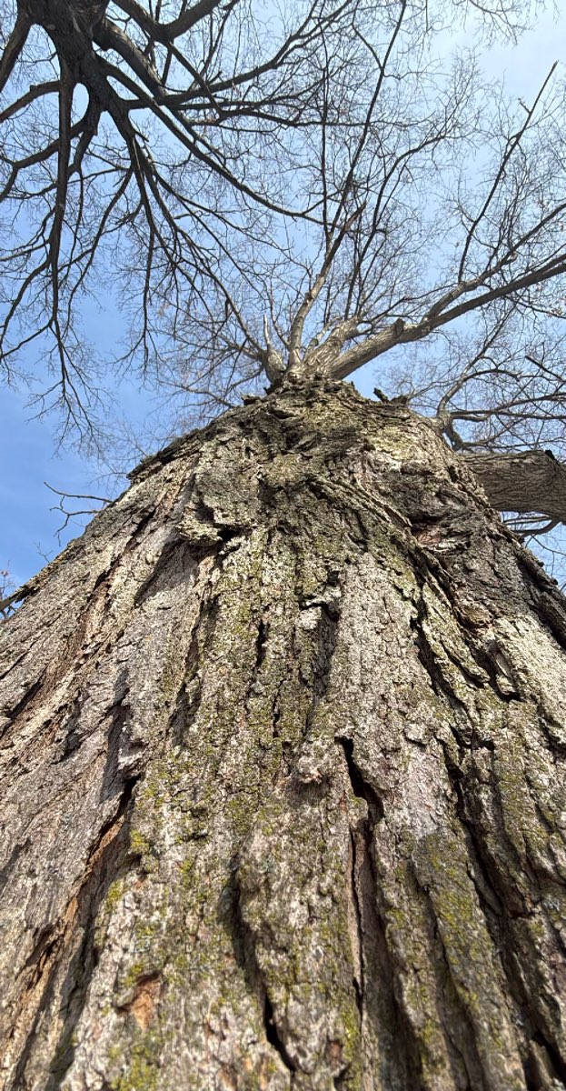 Lakewood Ohio Scavenger Hunt foton