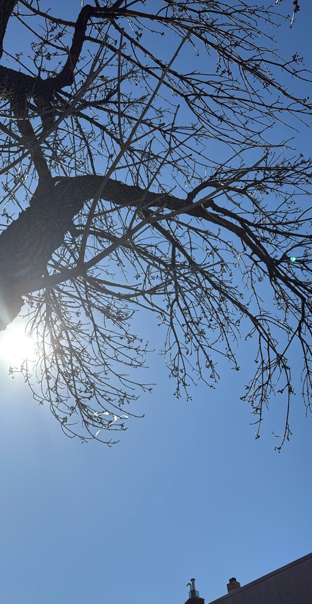 Anoka Scavenger Hunt scavenger hunt photos