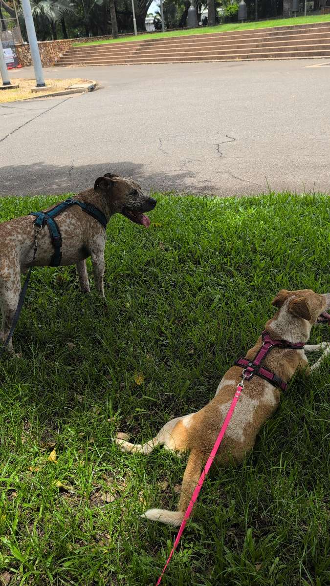 b&uacute;squeda del tesoro para team building