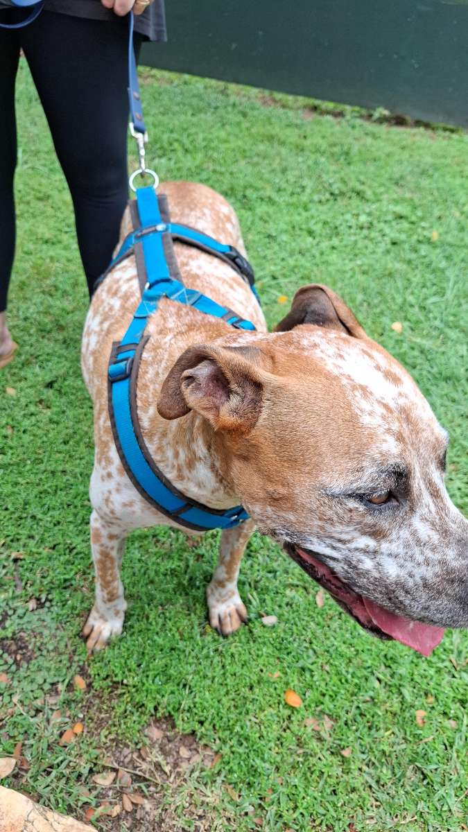 b&uacute;squeda del tesoro para team building