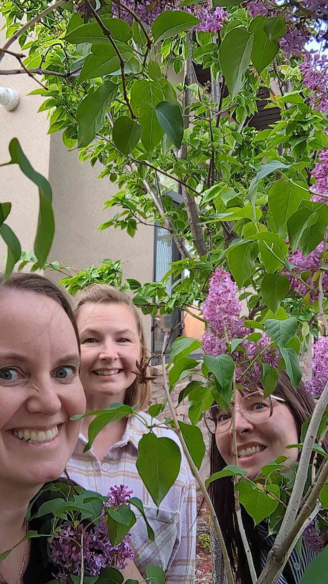 스토니 플레인 스캐빈저 헌트 스캐빈저 헌트 사진