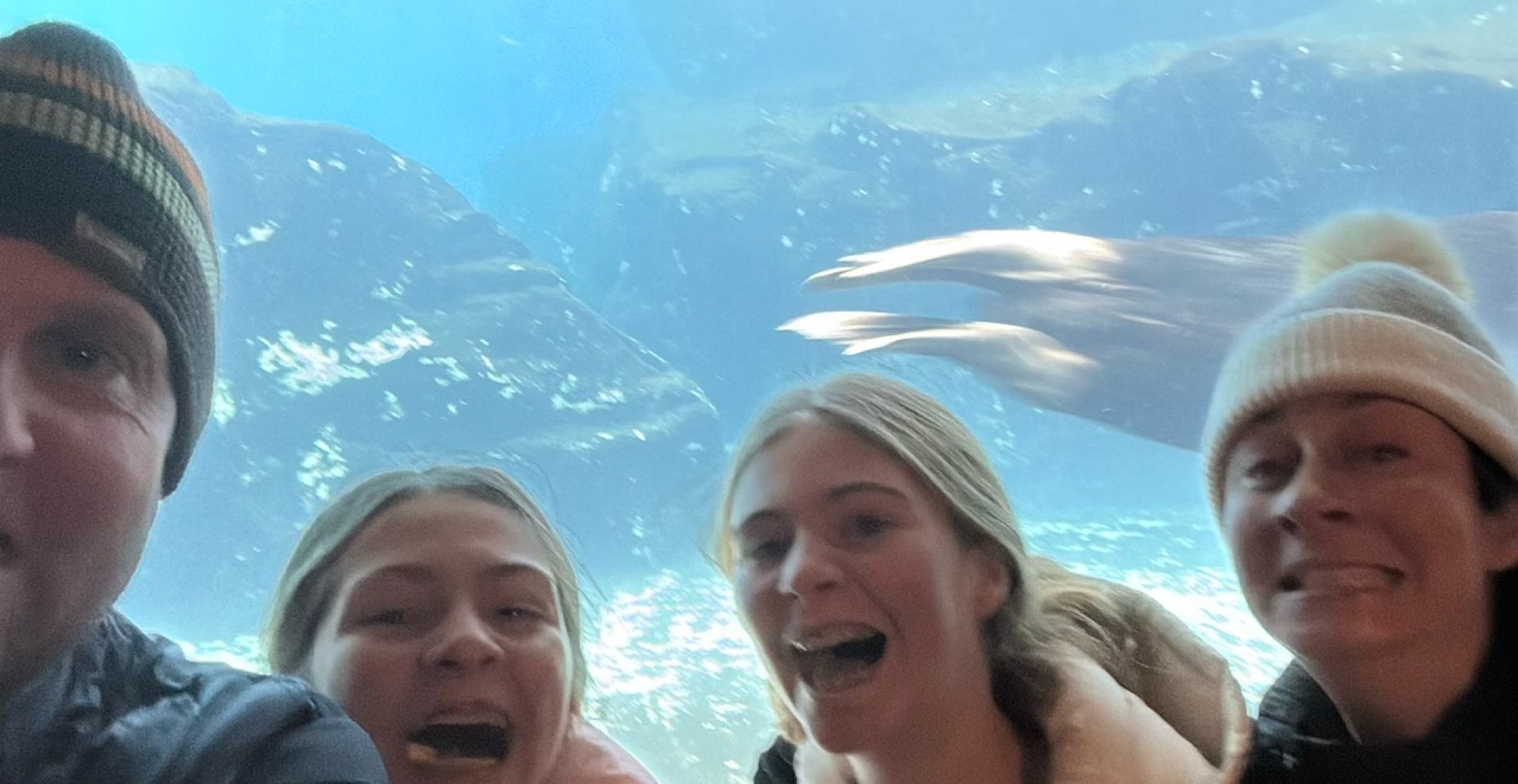 Wrigleyville Scavenger Hunt scavenger hunt photos