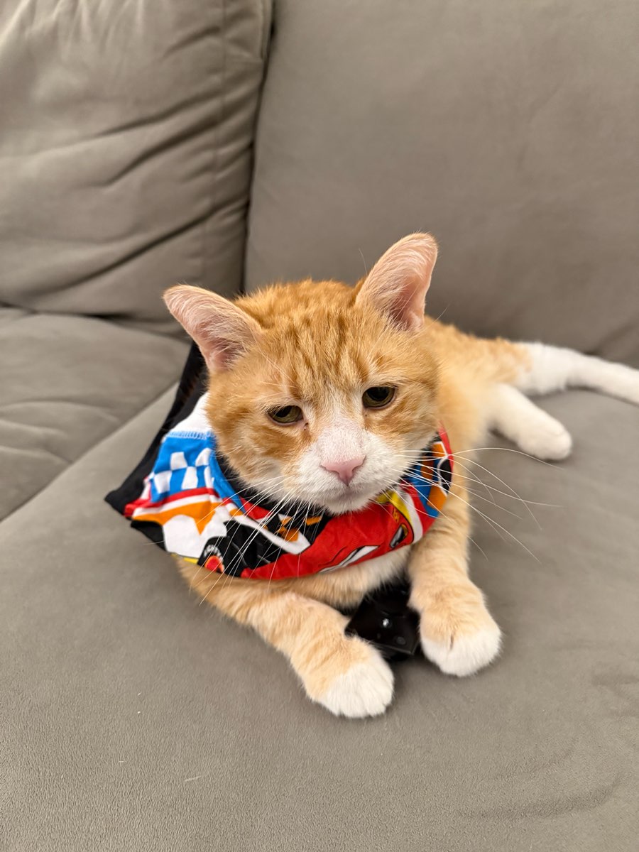 Fotos da Caça ao Tesouro de Sandy Hook