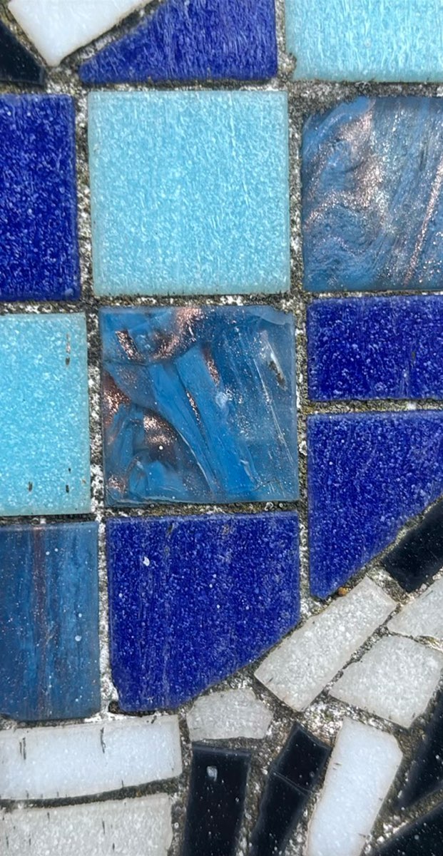 Swansea Scavenger Hunt scavenger hunt photos