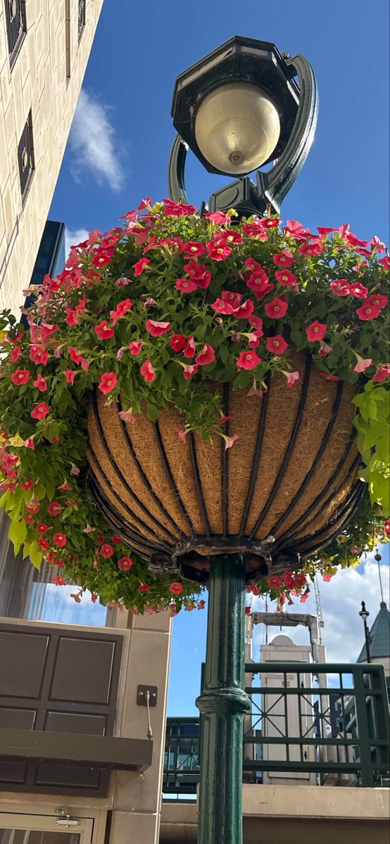 University of Wisconsin - Milwaukee Scavenger Hunt scavenger hunt photos