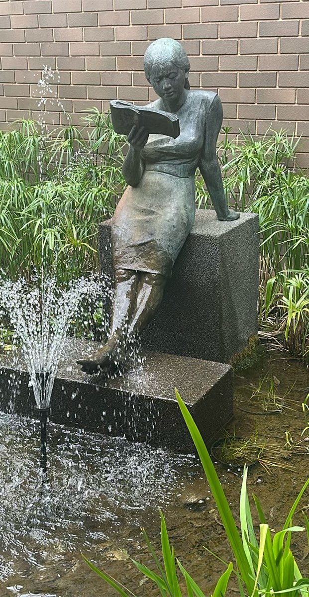 takım kurma hazine avı