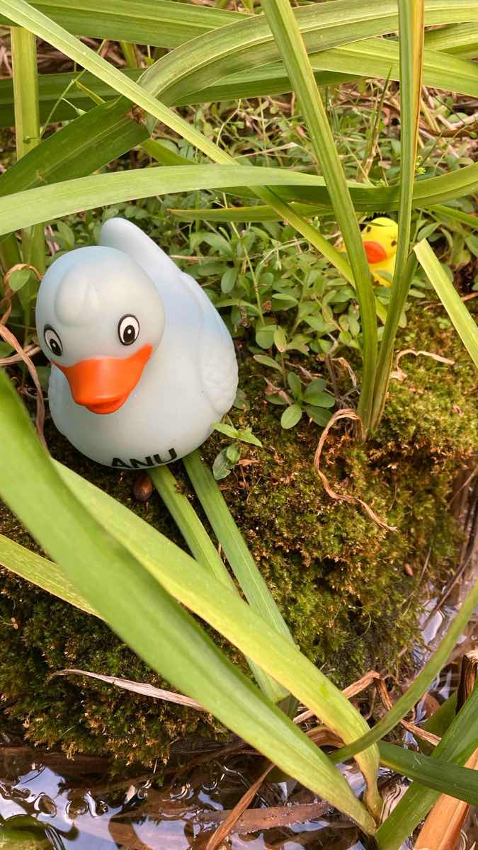 รูปภาพกิจกรรมล่าสมบัติ Australian National University &lpar;ANU&rpar; Scavenger Hunt