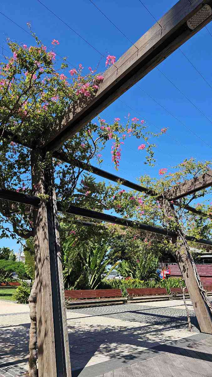 서호주 대학교 스캐빈저 헌트 스캐빈저 헌트 사진