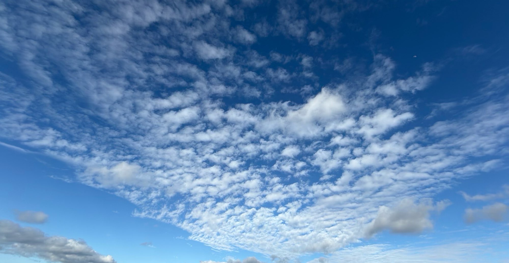 长滩华盛顿寻宝游戏照片