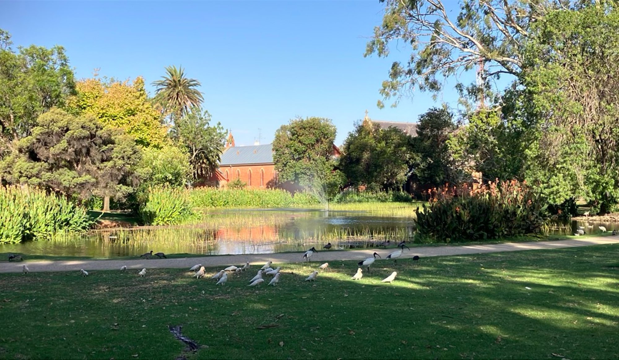 Deniliquin-kaupunkiseikkailun kuvat