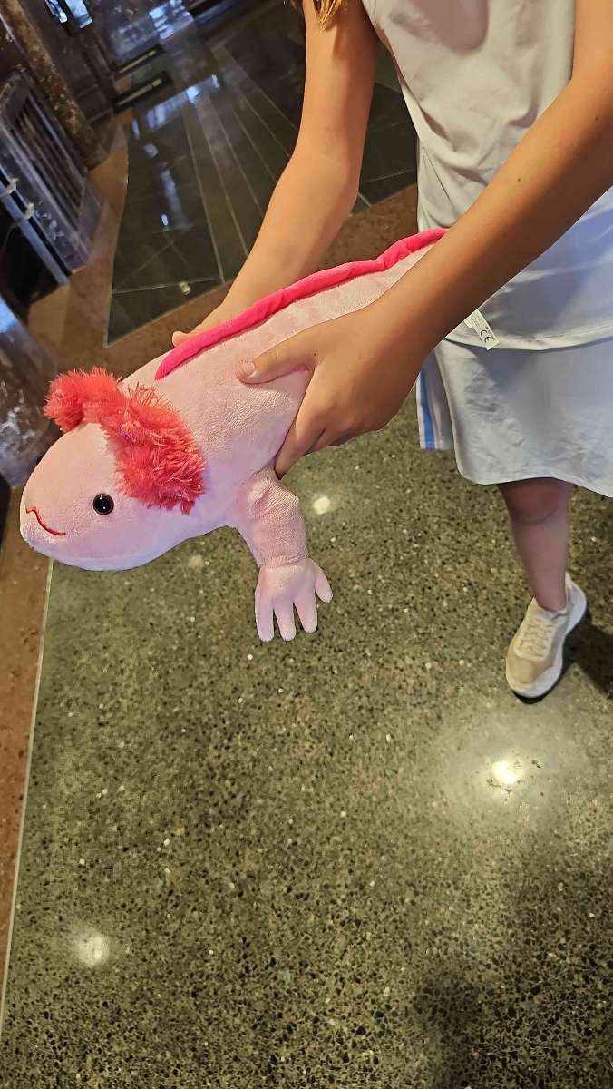 Tyler Scavenger Hunt scavenger hunt photos