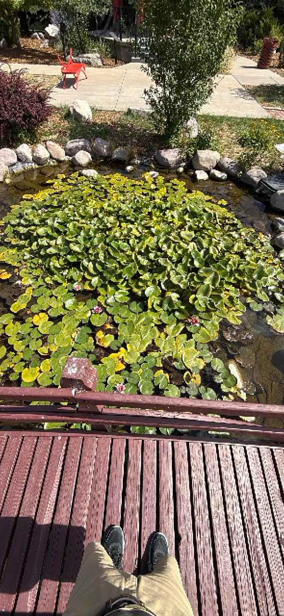 Evanston Wyoming Scavenger Hunt scavenger hunt photos