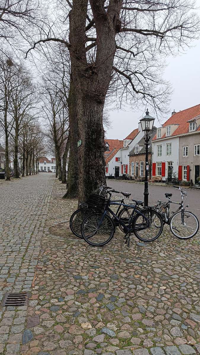 Harderwijk Scavenger Hunt scavenger hunt photos