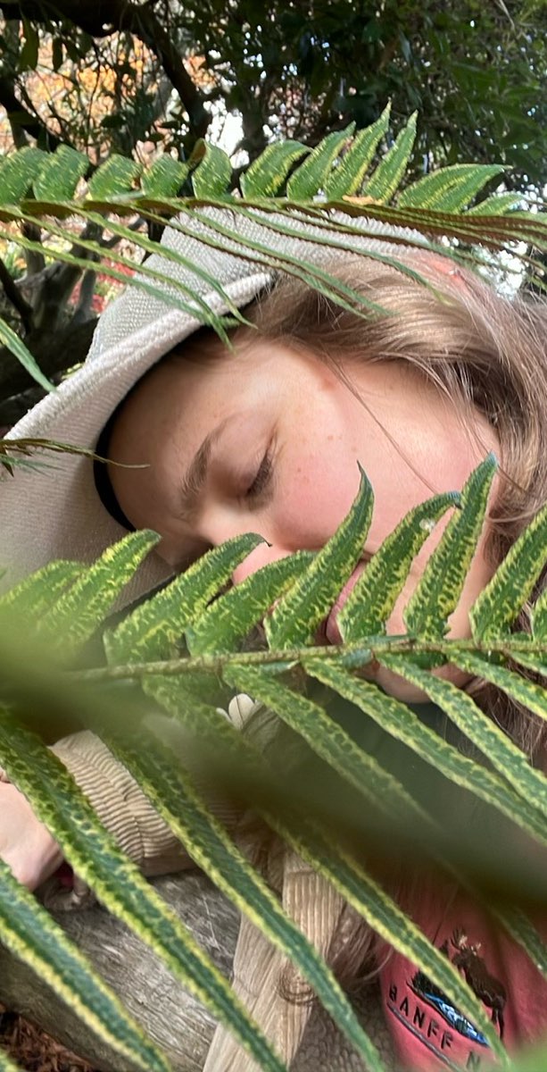 Victoria British Columbia Downtown Scavenger Hunt scavenger hunt photos