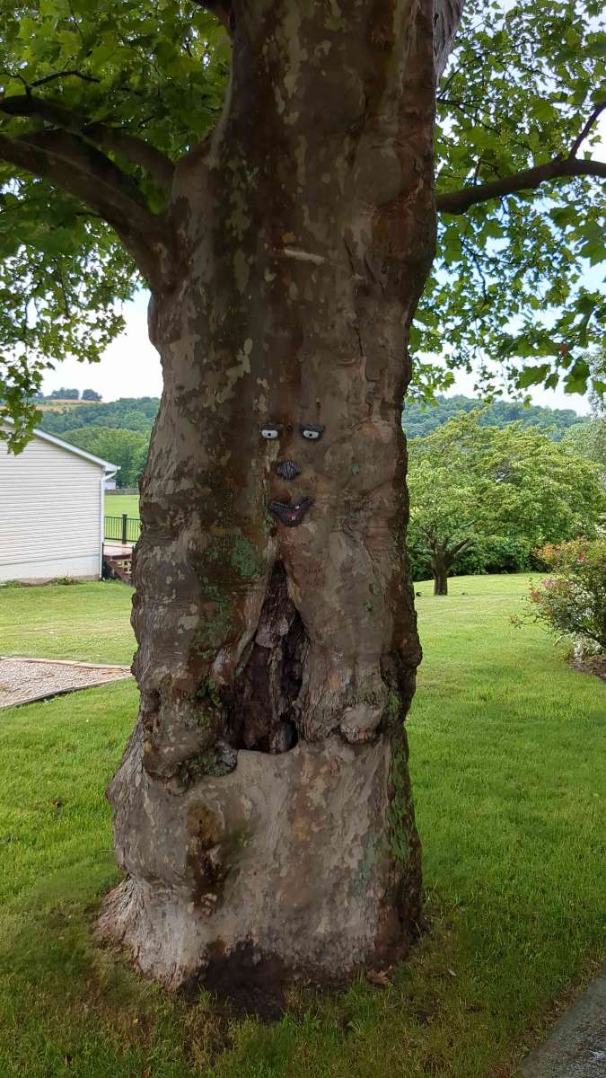 Perryopolis Scavenger Hunt scavenger hunt photos