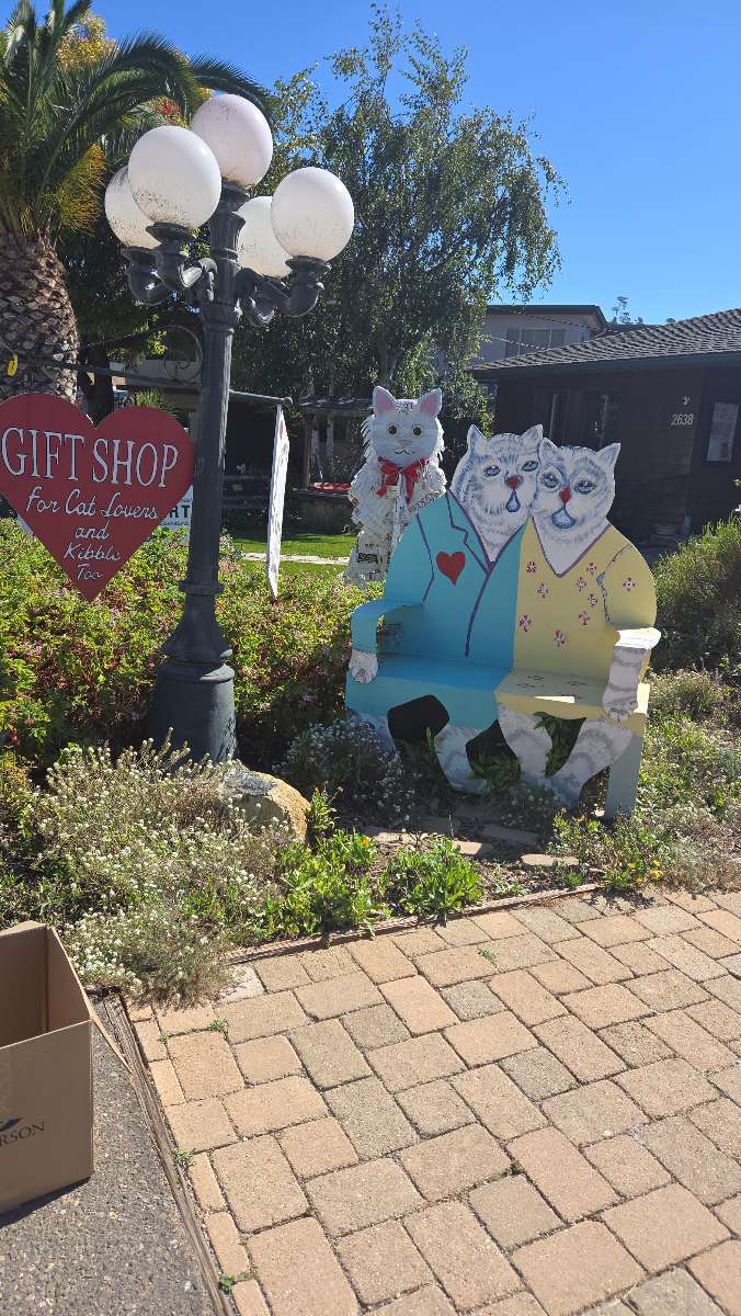 Cambria Scavenger Hunt scavenger hunt photos