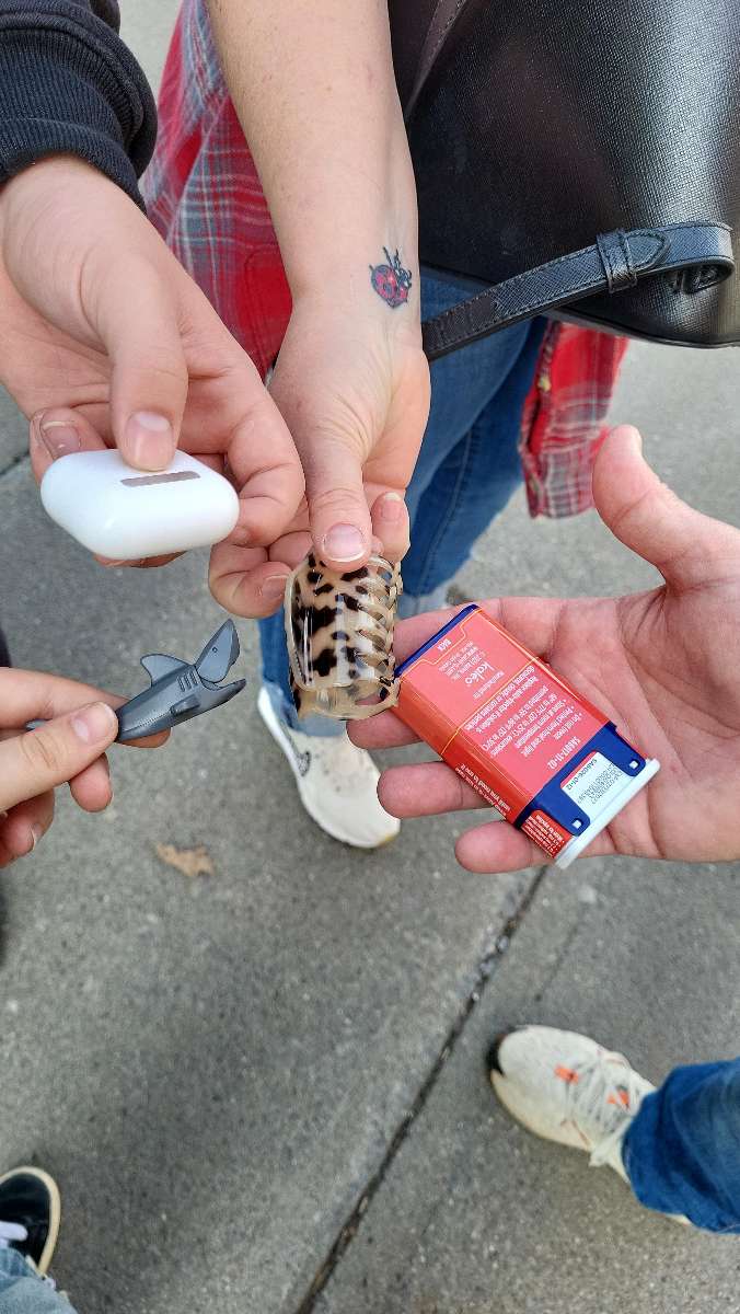 Albany New York Scavenger Hunt scavenger hunt photos