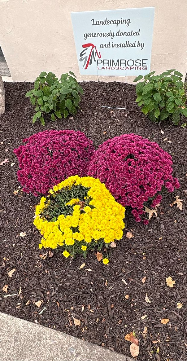 Fotografii vânătoare de comori Stroudsburg