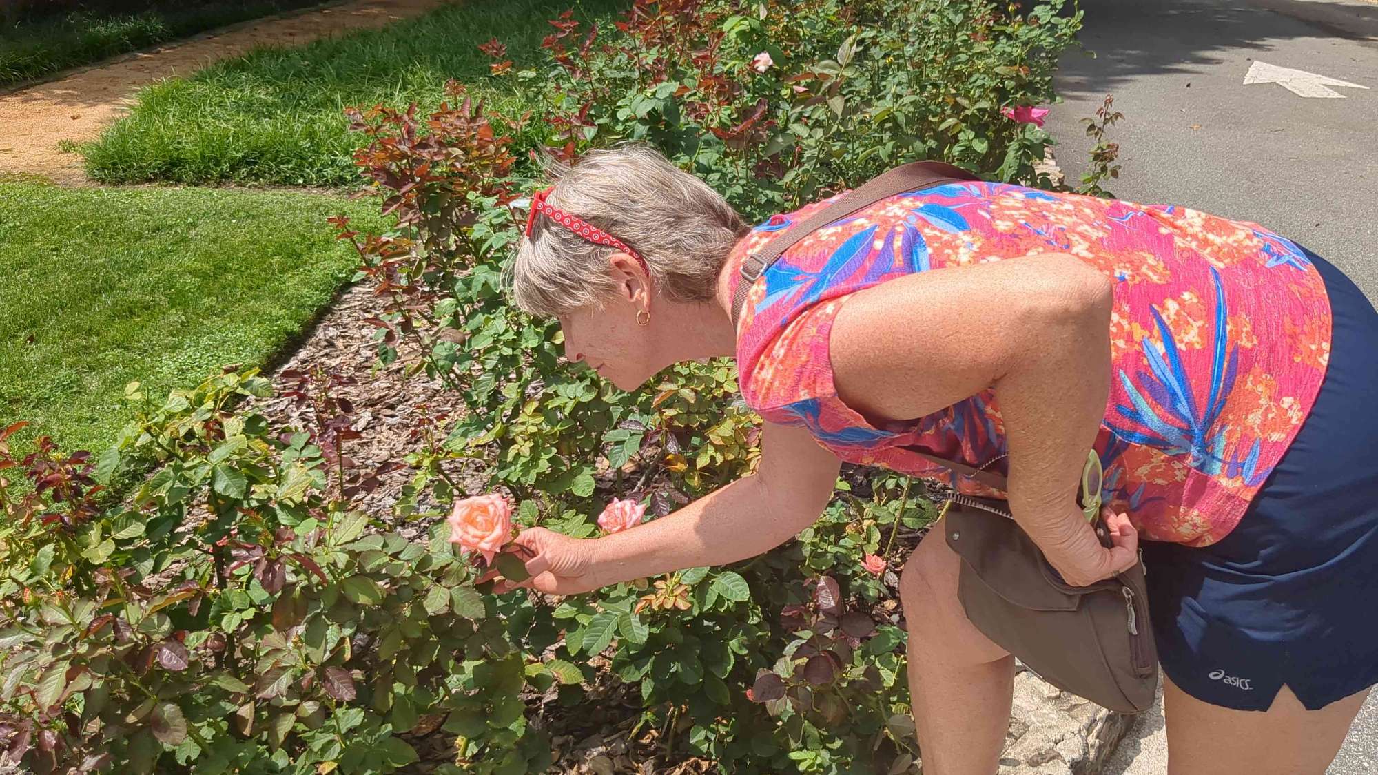 University of North Carolina--Chapel Hill Scavenger Hunt scavenger hunt photos