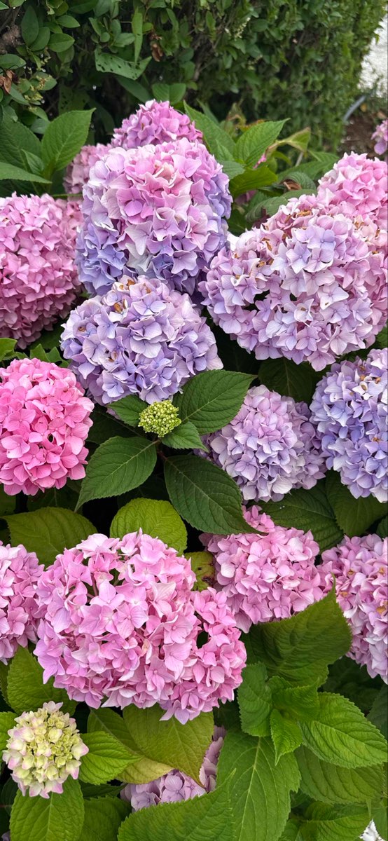 Hyannis Scavenger Hunt scavenger hunt photos