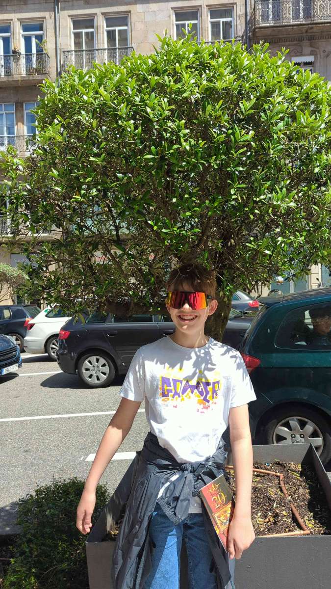 Vigo Scavenger Hunt scavenger hunt photos