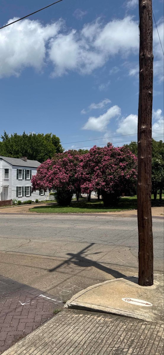 team building scavenger hunt