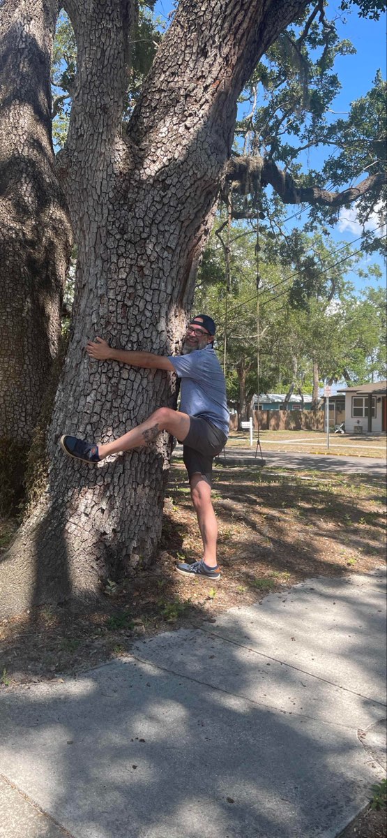 セーフティハーバー・スカベンジャーハントのスカベンジャーハント写真