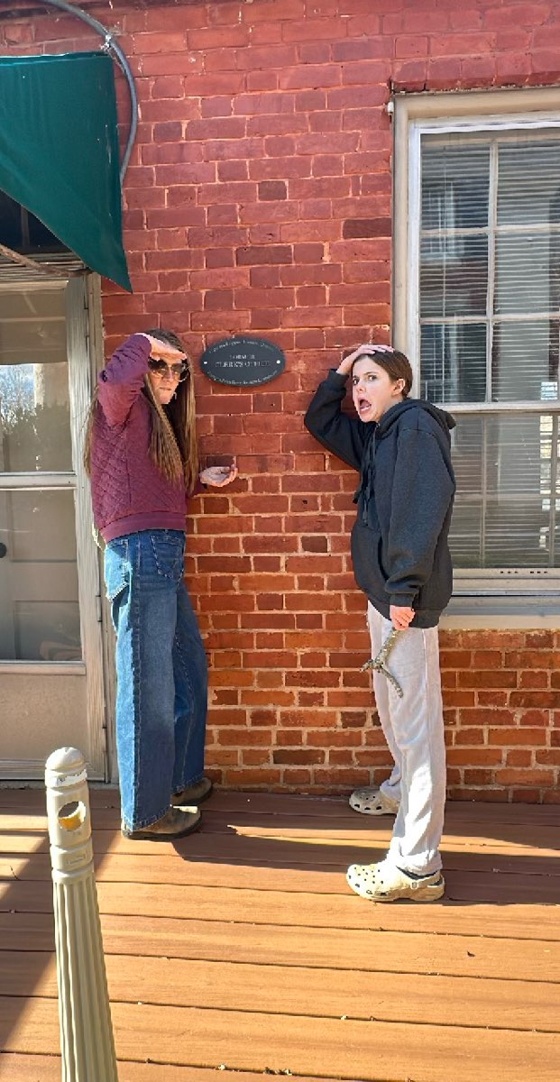 팔미라 스캐빈저 헌트 사진