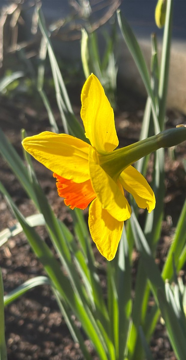 Fotos da Ca&ccedil;a ao Tesouro em Cannon Beach