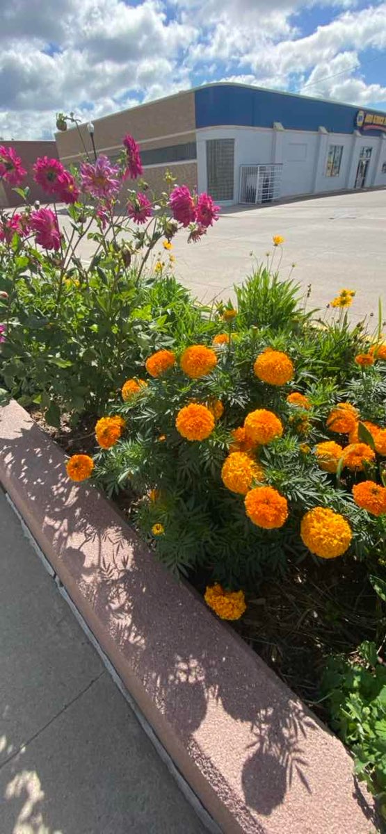 奥加拉拉寻宝游戏照片