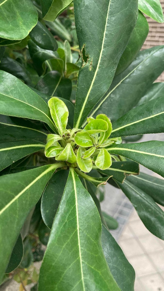 รูปภาพของ Retiro Scavenger Hunt