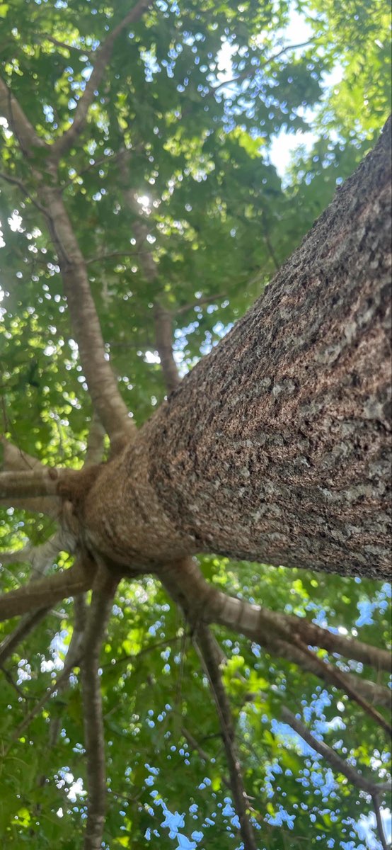 Morganton Scavenger Hunt scavenger hunt photos