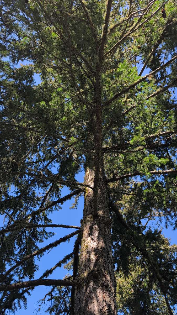 صور صيد كنوز روش هاربور