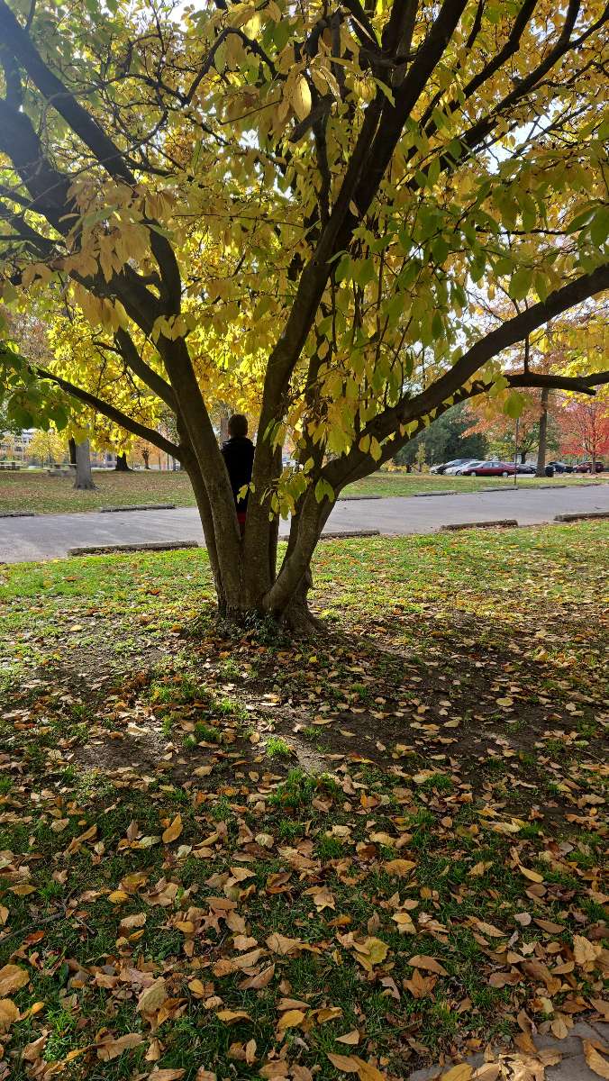 Historic German Village Scavenger Hunt 스캐빈저 헌트 사진